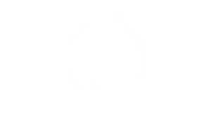 Icons-19