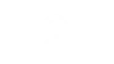Icons ICL-22