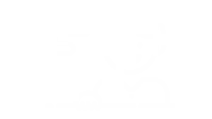 Icons-31