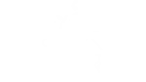 STEM