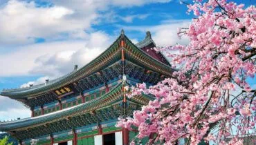 Korea-960×560-1