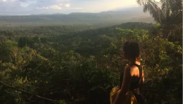 jungle-Orla
