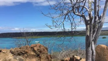 galapagos