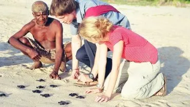 sea turtle conservation