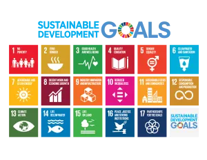 UN SDGs