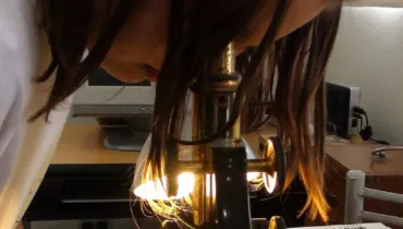 BECAS – FORMATO RECTANGULAR-04