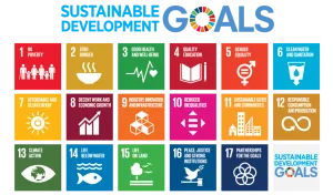 E_2018_SDG_Poster_without_UN_emblem_Letter-US-1024×791