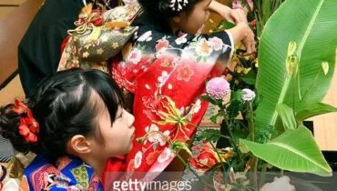 2423ec5db533ef9eefc8ee3c492060a3
