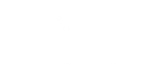 NAFSA 2026 _ Logo for Website