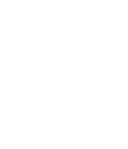 ALEI-01