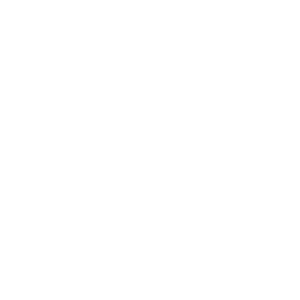 Doodle índice de competencias globales