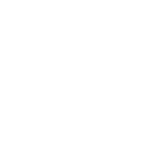 YA General Logo white