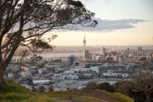 nz3
