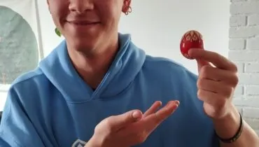 Slovakije 2