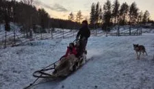 Finland 11