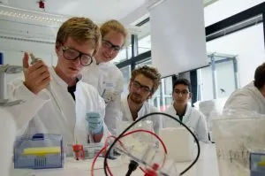 GER-STEM-3