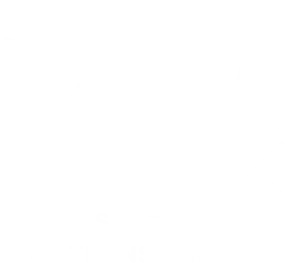 10th Anniv logo_only complement, white sm