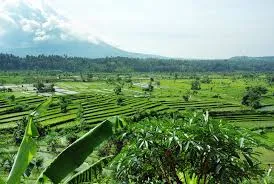Indonesia_landscape
