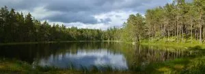 Norra_Kvill_National_Park_Sweden_by_Pudelek