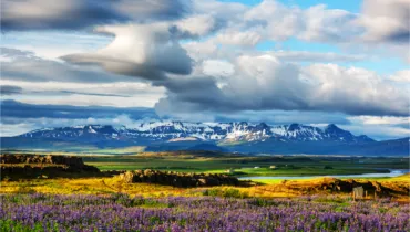 Sans titre (Présentation (169)) (74)