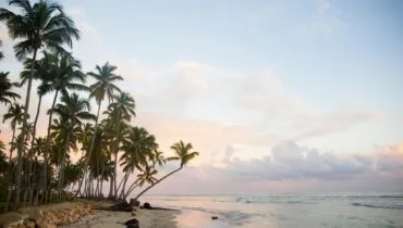 robin-canfield-n_OCaVll4io-unsplash