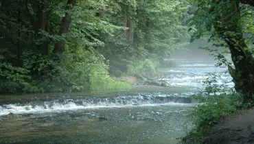 Poland_Tanew_-_nature_reserve_Szumy_na_Tanwi
