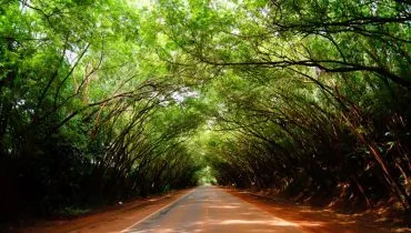 Partir étudier au Paraguay
