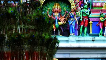 AFS USA_India2949494693_o