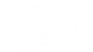 Icons-Chapter-Development-04-300×169