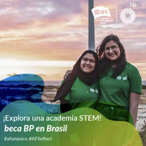 AFS BP BRASIL