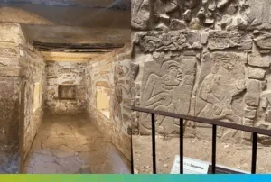 Website Images with Bottom Colour Gradient Narrower (23)