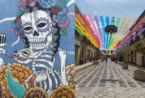 Website Images with Bottom Colour Gradient Narrower (25)