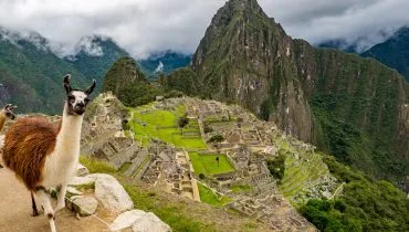 Canva – Llama in the Machu Picchu_edited