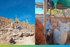 Website Images with Bottom Colour Gradient Narrower (3)