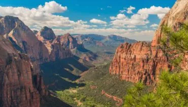 pexels-lukas-kloeppel-545964