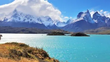 Chile-Mountains-Llama-2000