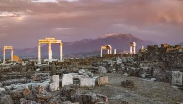 pexels-roman-odintsov-5319718