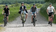 Activity – Denmark