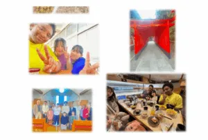 Website Images with Bottom Colour Gradient Narrower (26)