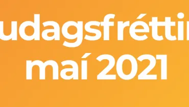 Screen Shot 2021-05-21 at 13.21.34