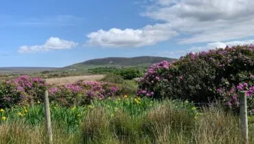Foto Irland Landschaft
