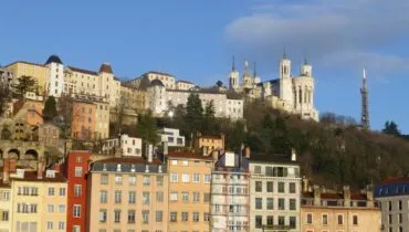 la-coccinelle-Tr941YwpUJE-unsplash