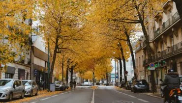 dat-vo-qGTKVrB6bcI-unsplash