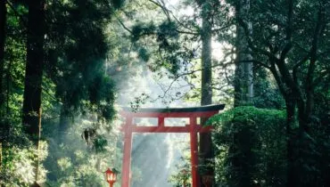 syuhei-inoue-kaoHI0iHJPM-unsplash