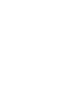 FIN