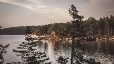 ines-d-anselme-IAe4R_RiB08-unsplash