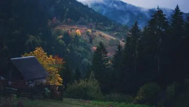 ivana-djudic-1072811-unsplash