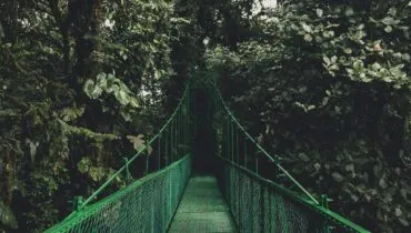 Monteverde, Costa Rica2