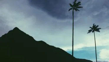 Valle-Del-Cocora-Colombia