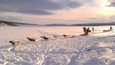 429437_10150648383607384_790184323_n